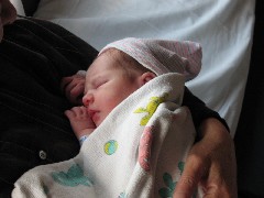 Ellery Wheeler ; New Hampshire; Ellery s birthday; hospital